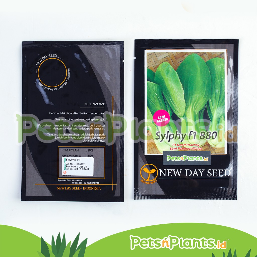 Bibit Sawi Hibrida Dwarf Pakchoy Sylphy New Day Seed