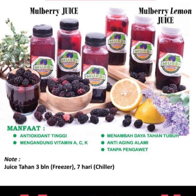 

MURBI MULBERRY LEMON JUICE 300ml