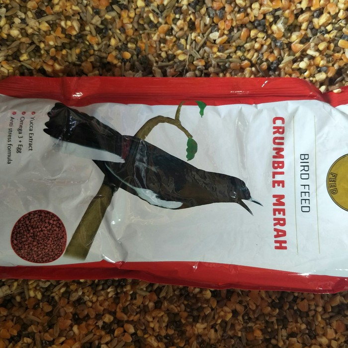 gold coin kacer/gold coin pakan kacer/pakan burung kacer