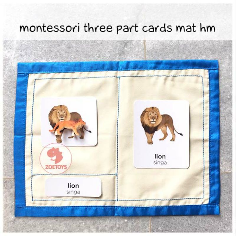 Zoetoys Montessori Three Part Cards Mat Hm | Cultural Science | Language | Mainan Anak | Edutoys