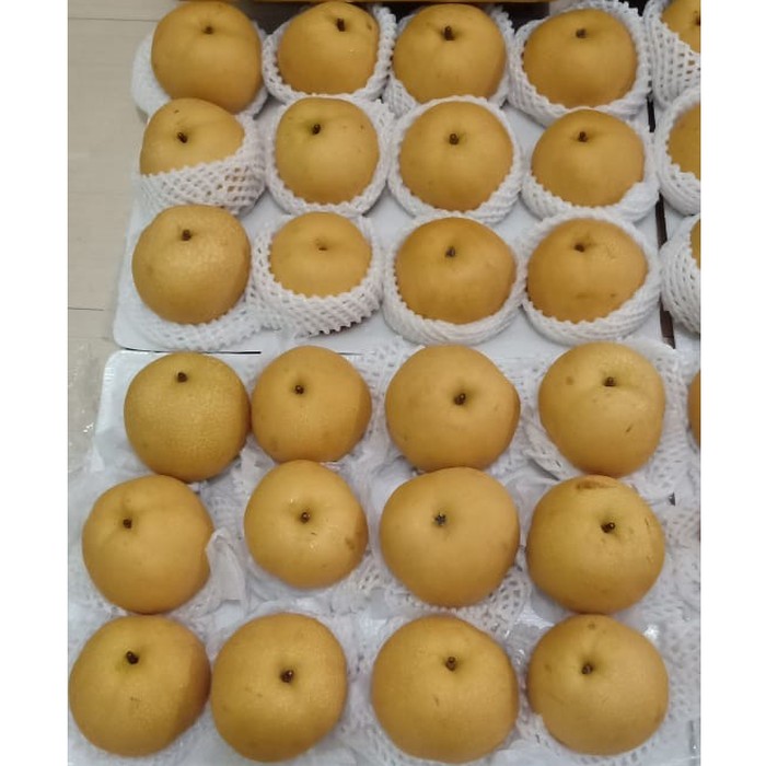 

Pear Singo SEGAR / GOLDEN WANGSHAN Per pcs