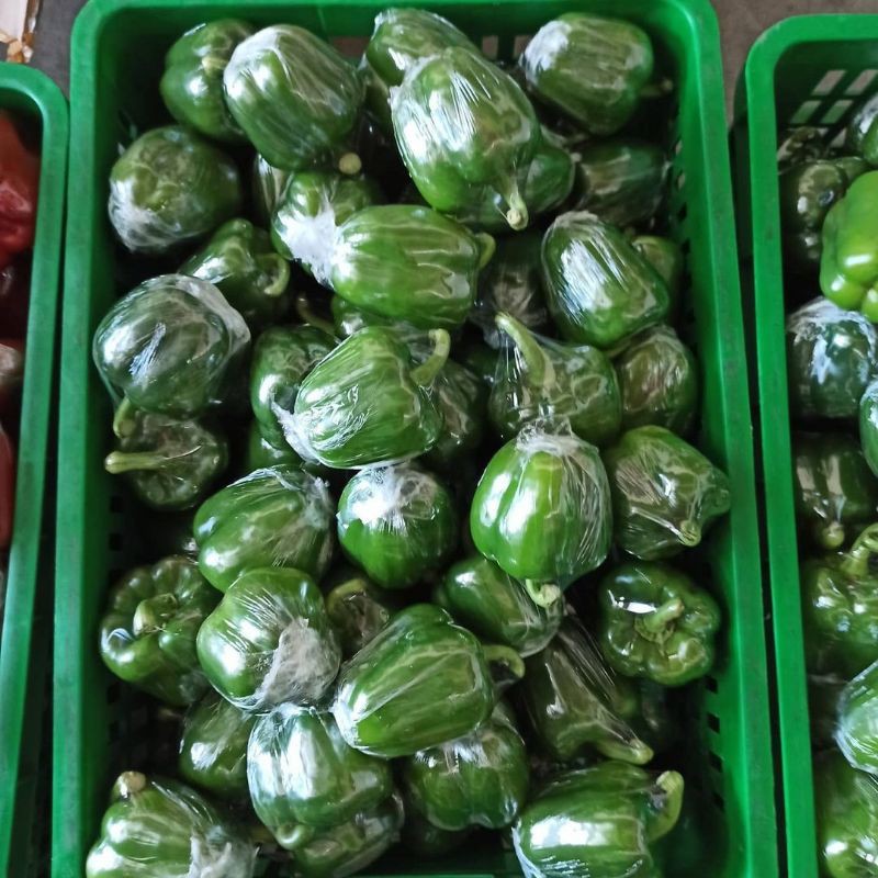 

Paprika hijau fresh KUALITAS SUPER 500 gr