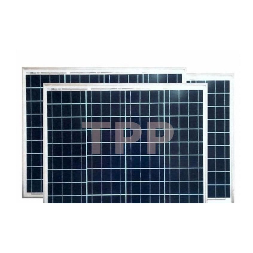 Solar Panel 50 WP Panel Surya Poly 50WP