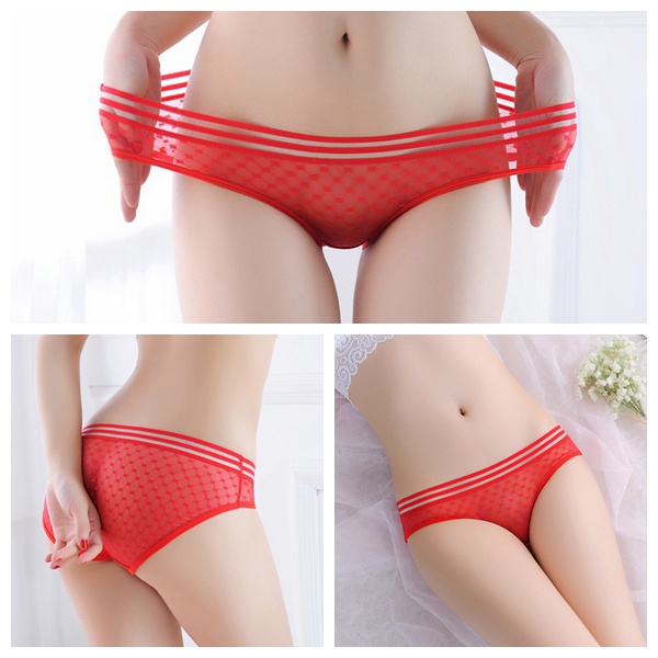 Celana Dalam Brief Wanita Renda transparan Sexy Low Waist Celana 3C158