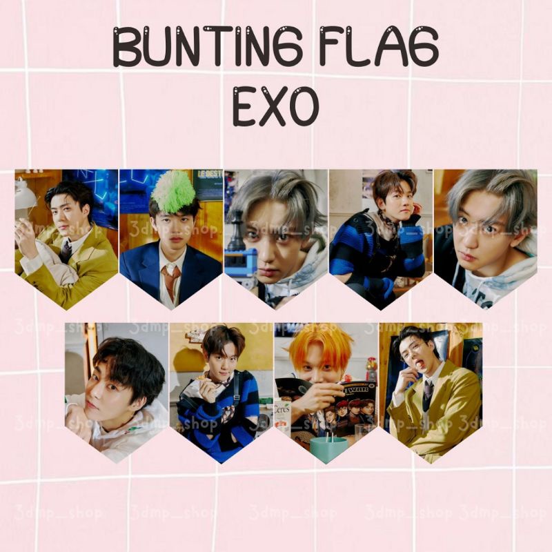 Bunting Flag Bendera EXO Obsession don't fight the feelings