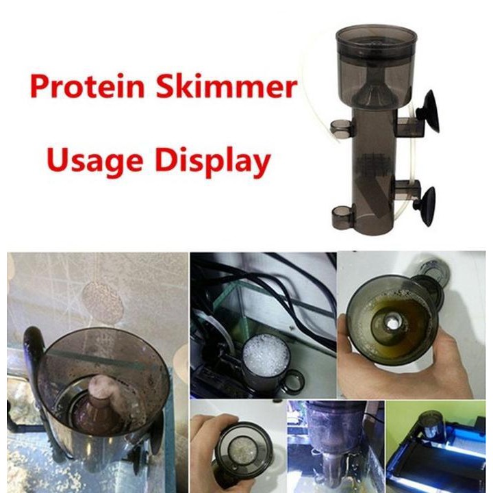 Protein Skimmer Risheng RS-4002 RS-4003 Nano Wood Air Stone - RS-4003