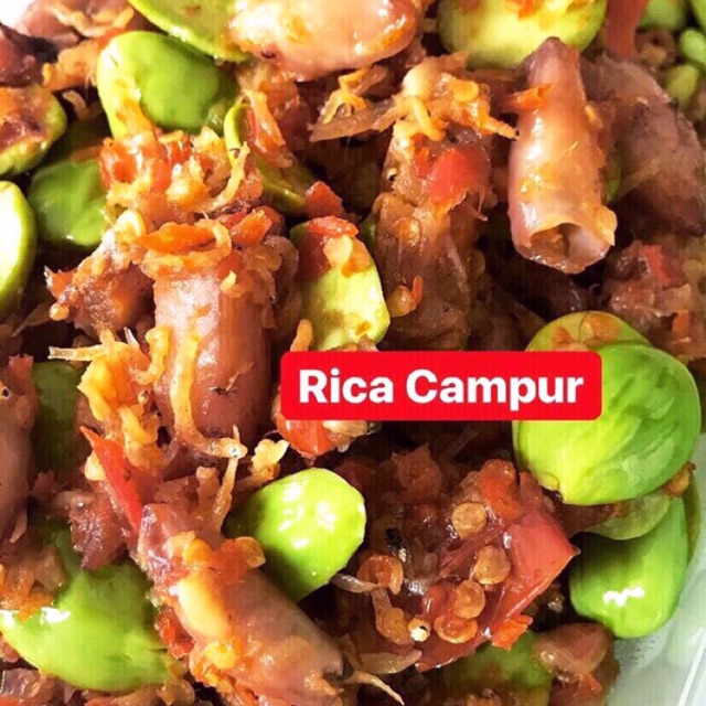 

RICA CAMPUR