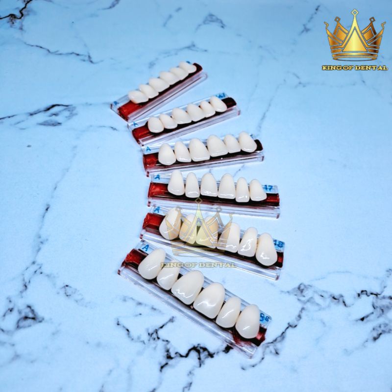 Italdent Gigi palsu Depan Atas Warna  A  anterior upper