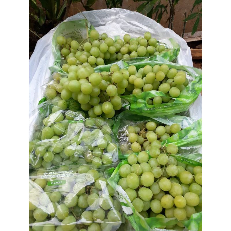 ANGGUR HIJAU AUTUMN CRISPY tanpa biji manis