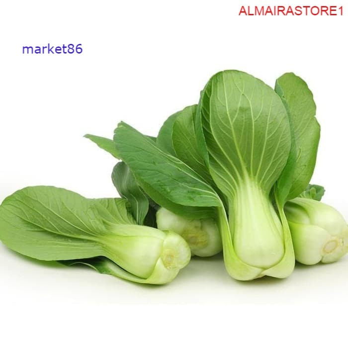 

Grosir Sayuran Segar Sayur FRESH Pakchoy 100 Gram murah - Market86
