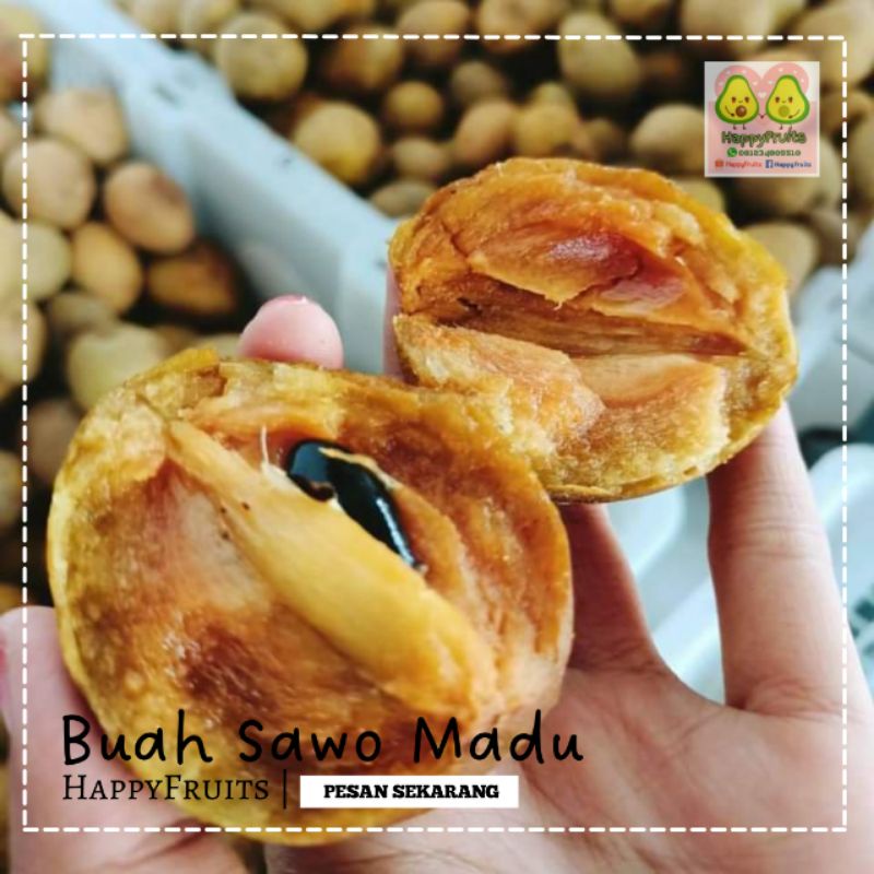 

BUAH SAWO MADU HAPPYFRUITS 1KG