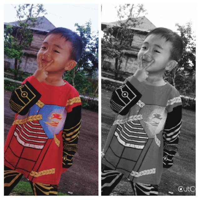 wardana0396