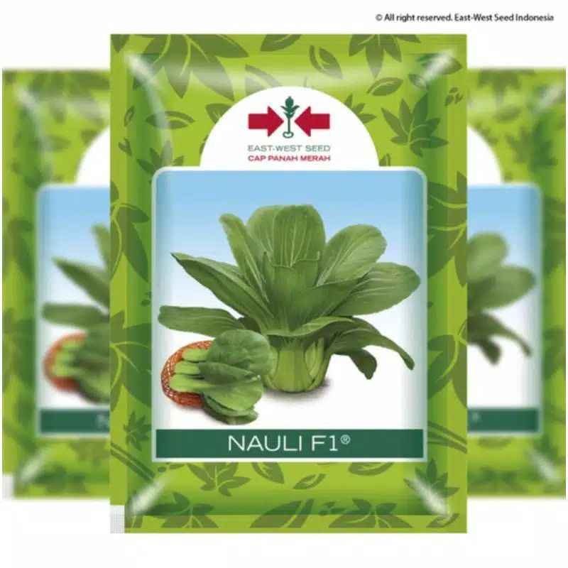 Jual BENIH PAKCOY NAULI F1 ISI 10 GR EXP 2024 Shopee Indonesia