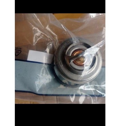 thermostat volvo ec210