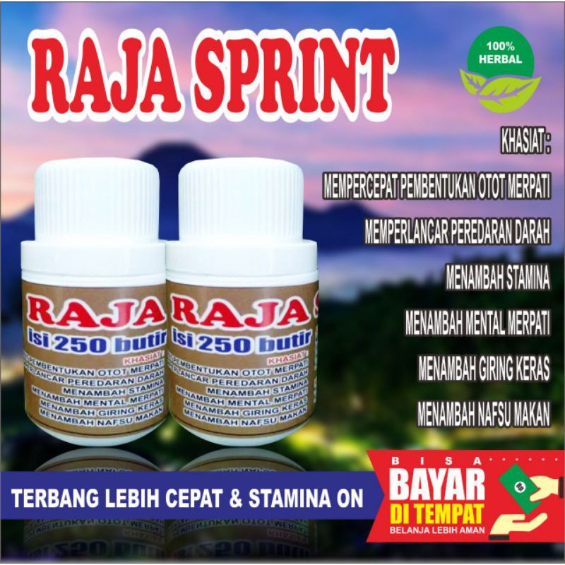 

COD Isi 100 butir RAJA SPRINT-Jamu Merpati-jamu merpati tinggi-doping merpati-bukan GINSENG TEKI