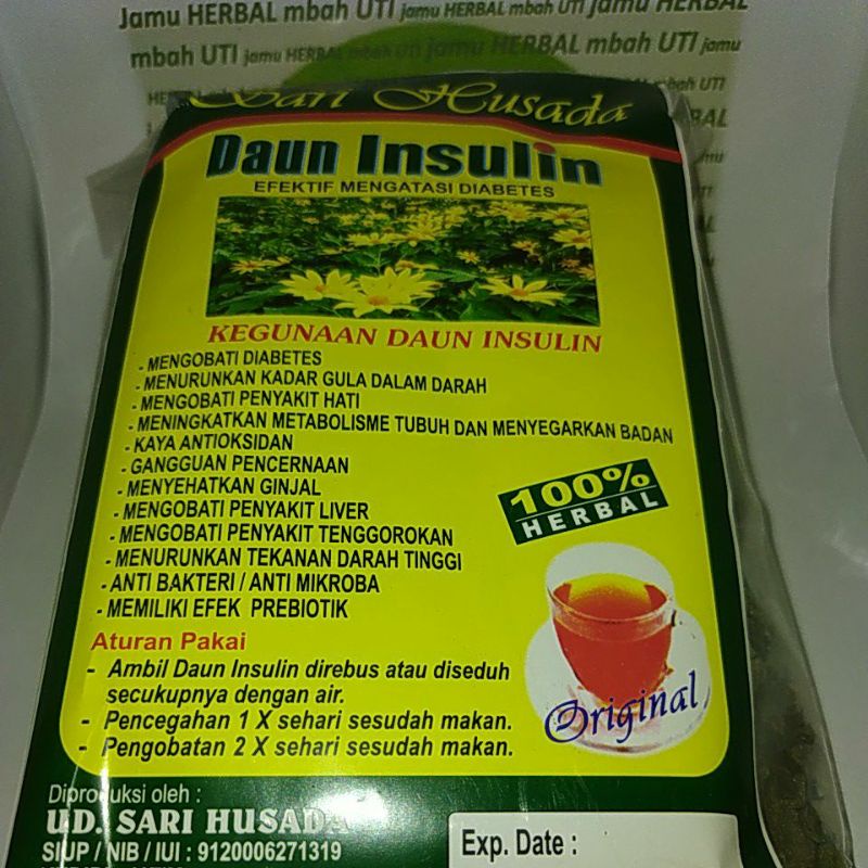

godogan daun insulin_menurunkan kadar gula