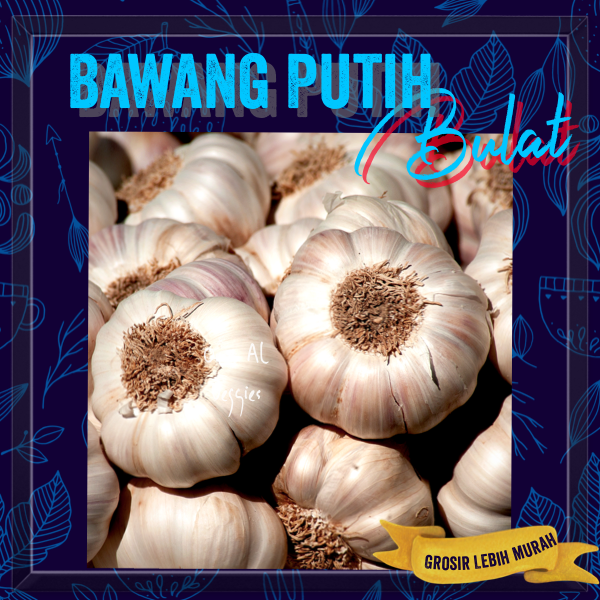 

BAWANG PUTIH BULAT / BANCI / REGULER / WHOLE GARLIC Per 100 gr SAYURAN SEGAR