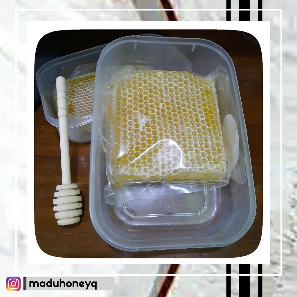 

Sarang Madu Asli Melifera - HoneyQ