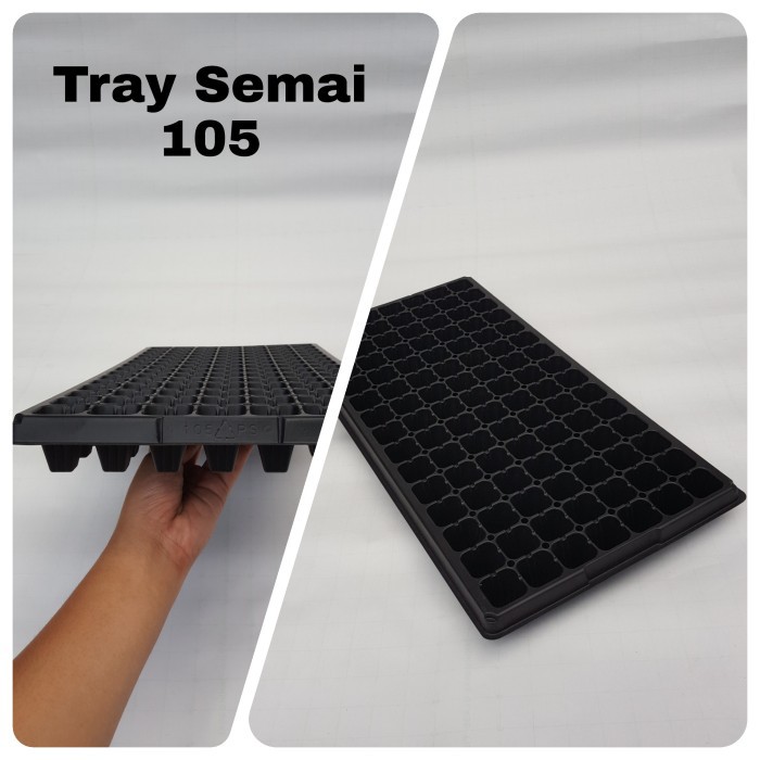 tray semai 105 lubang