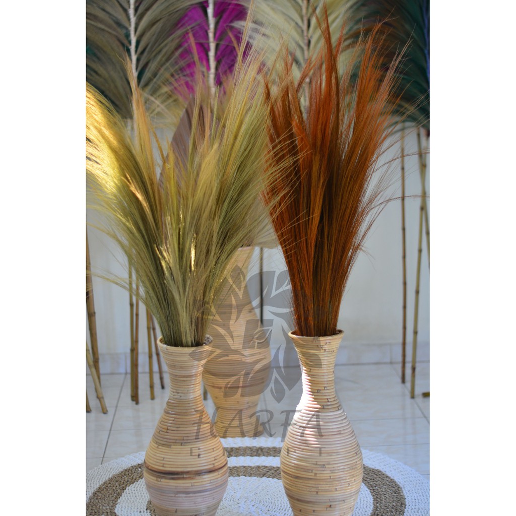 RAYUNG KERING DEKORASI