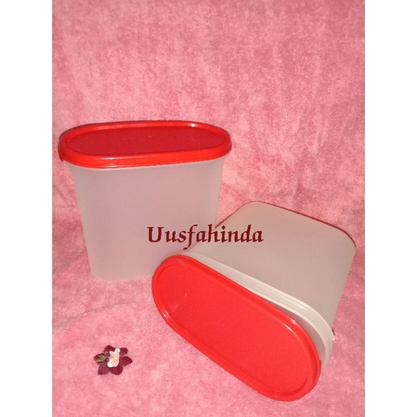 Modular Mates Oval 3 (MMO 3) Tupperware