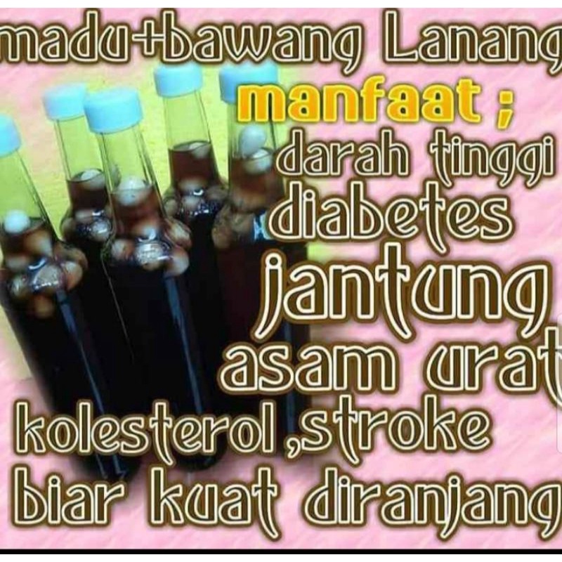 

madu bawang lanang asli hutan liar