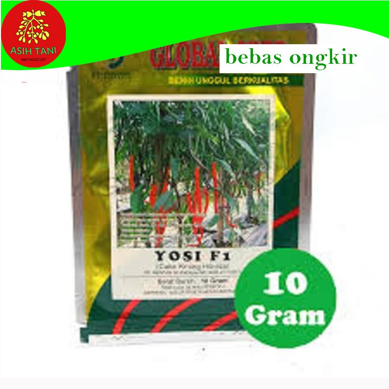 BENIH CABE KERITING YOSI F1