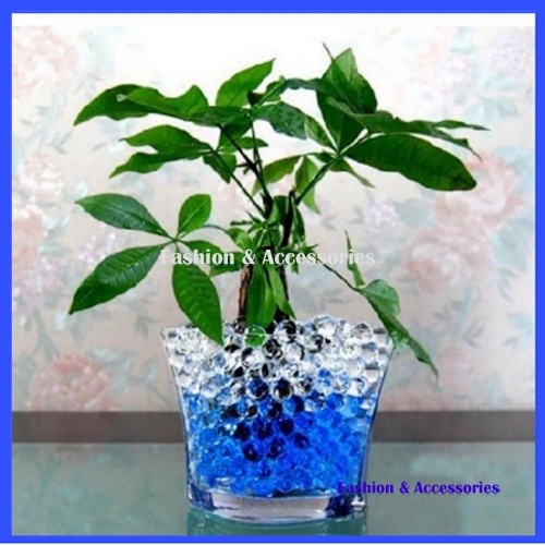 Media Tanam Hidrogel Murah// Water Garden Hidrogel