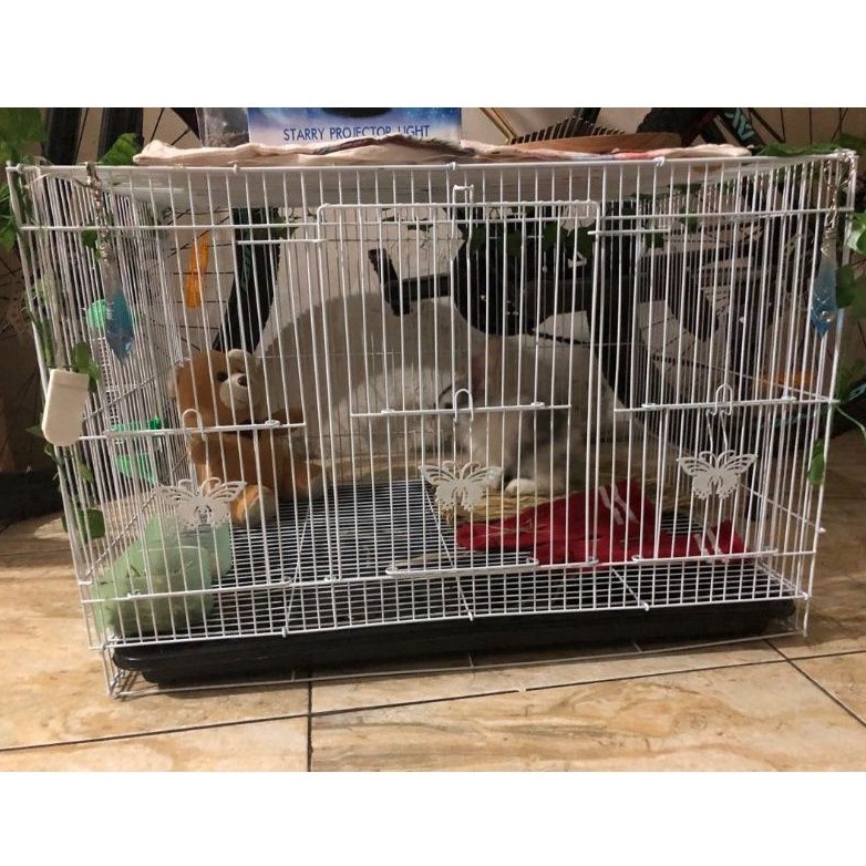 KANDANG KUCING, KELINCI, SUGER GLEDER, DAN BURUNG. SIZE L 60x42x40-4