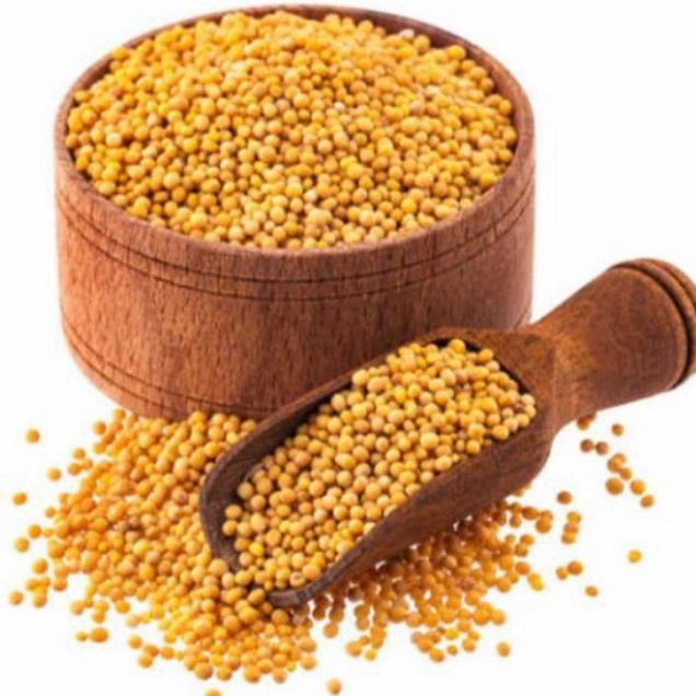 

Yellow Mustrad Seeds 50 Gram/ Biji Sawi