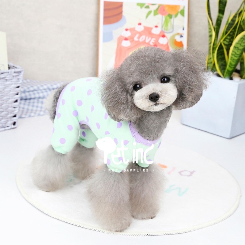 Korea paseuteul polkadot pajama