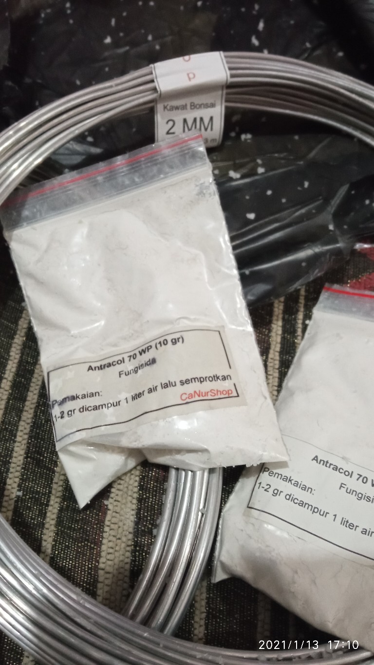 Antracol 10 Gram (repack)