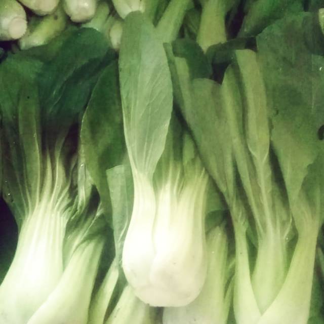 

PATCOY