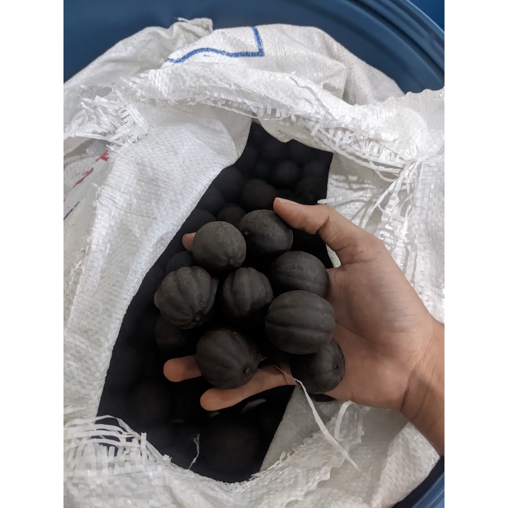 

LEMON HITAM LEMON ASWAD 10KG -+