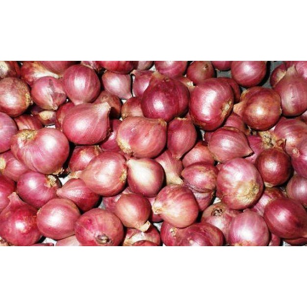 

Bawang Merah B, Kualitas Super!