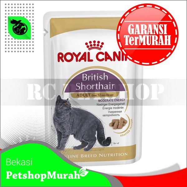 Cat Food Royal Canin British Shorthair Adult 85 gr Makanan Royal Canin Basah