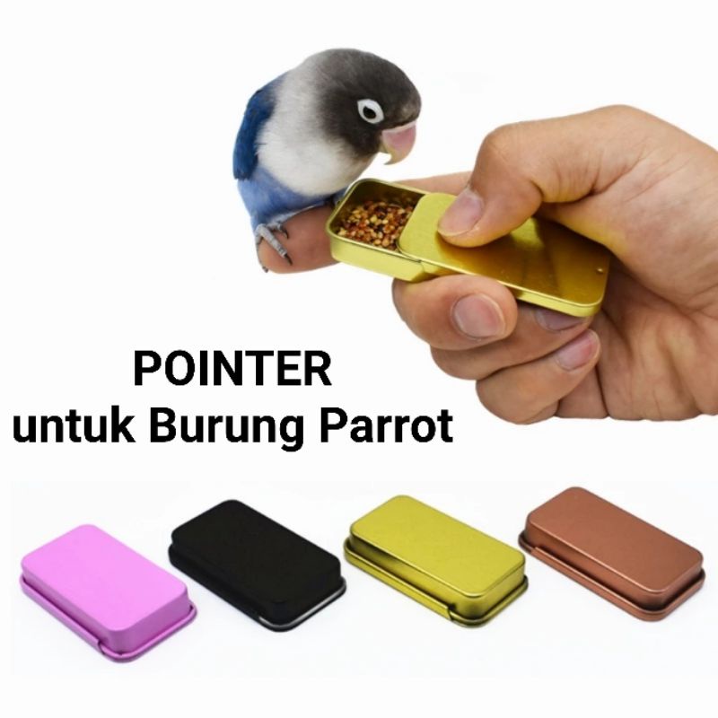 POINTER box buat burung Parrot