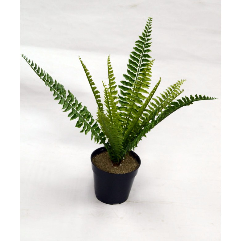 Naindo Bunga Pakis Hias + pot plastik hitam-bunga artifisial - tinggi 30 cm