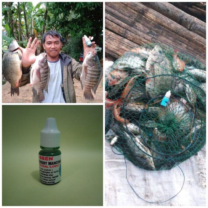 essen pancing special lumut isi 10ml . mancing cirata Jatiluhur saguling Jatigede waduk dharma wadas