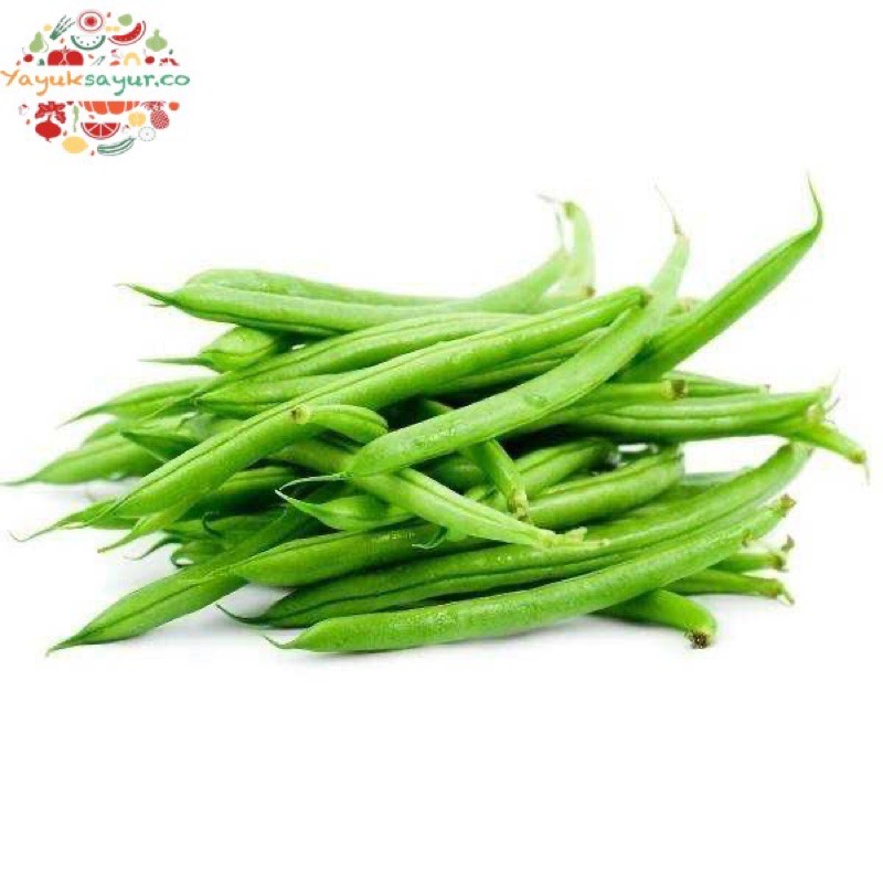 

BUNCIS SUPER PILIHAN