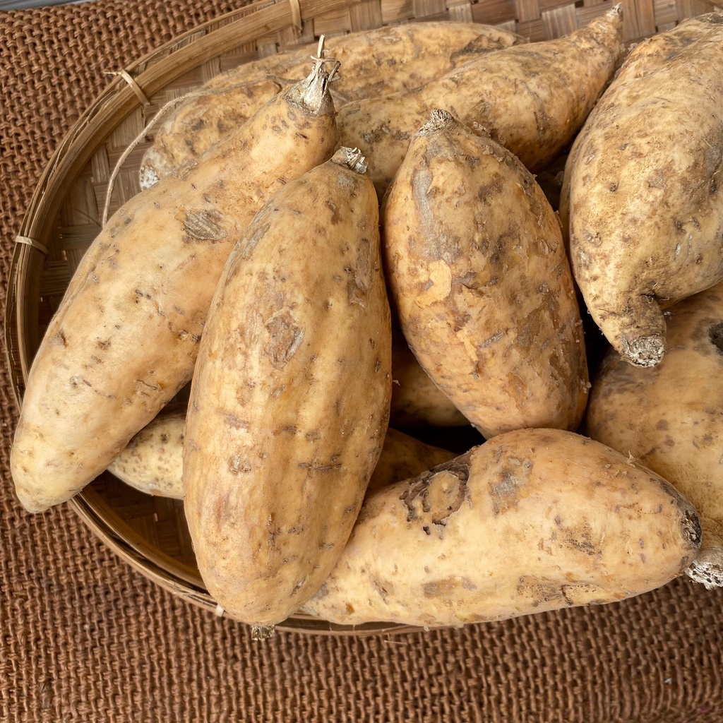 

Manganobuah - Ubi Madu