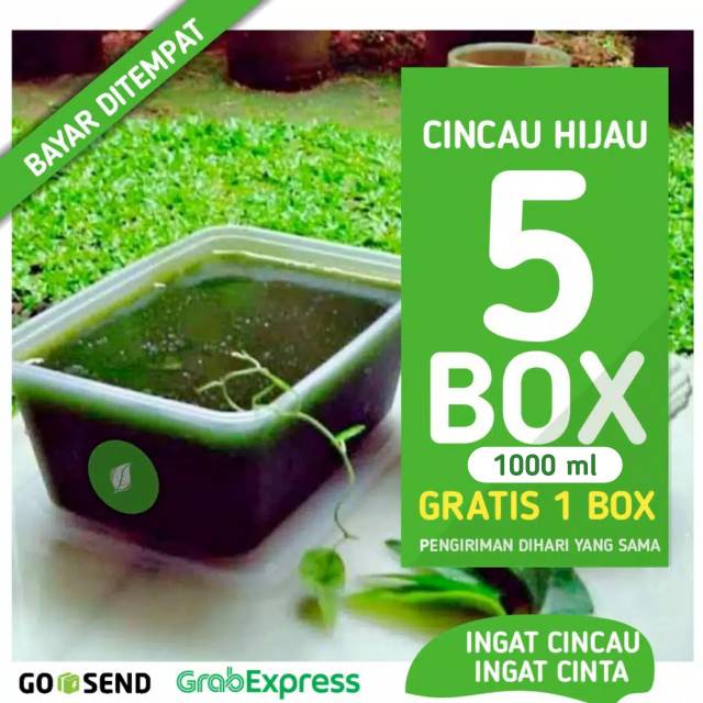 

CINCAU HIJAU SERAT ORGANIK 5 BOX GRATIS 1 BOX ALAMI TANPA BAHAN PENGAWET