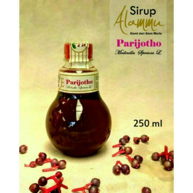 

Sirup parijoto