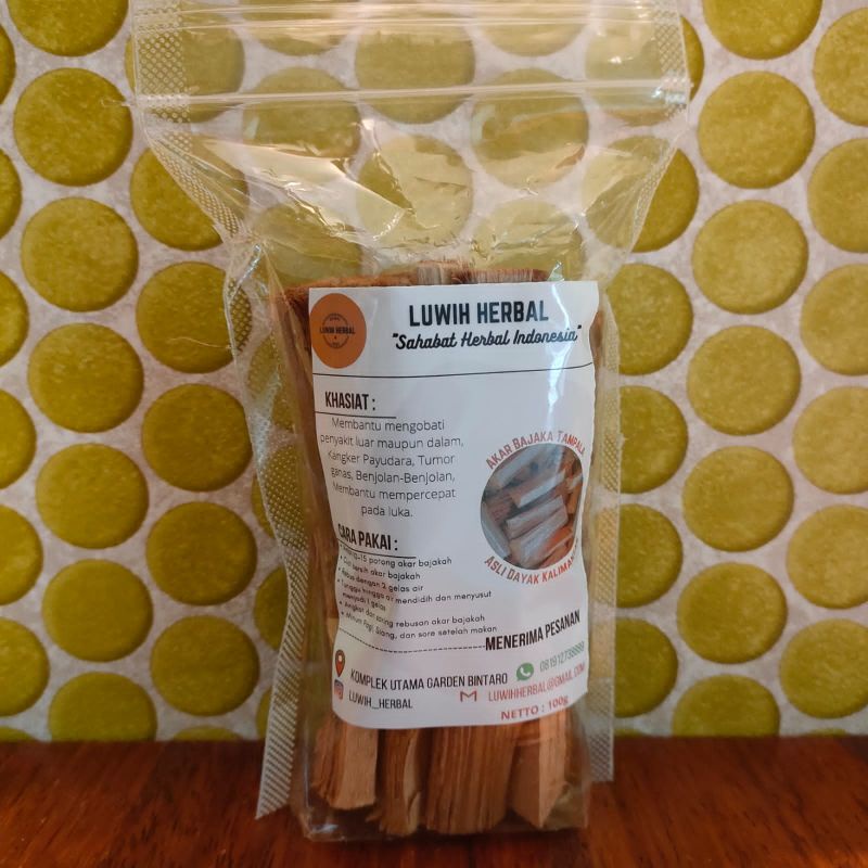 Akar Kayu Bajakah Tampala Asli Kalimantan