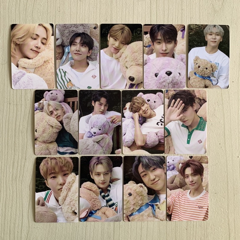 [ ready ] seventeen dicon pc teddy sharing mingyu wonwoo scoups hoshi dk