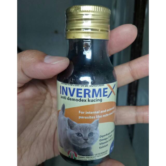 syrup obat invermectin jamur/demodex/ringwarm pada kucing