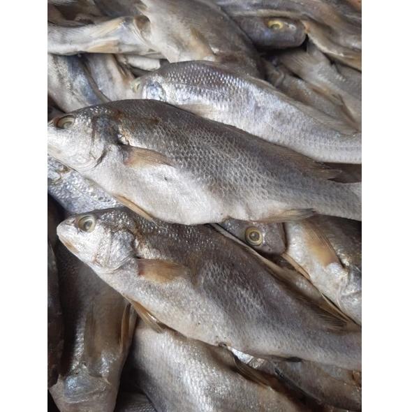 

[KODE PRODUK DCYMK7160] Ikan Asin Sileman 500 gr