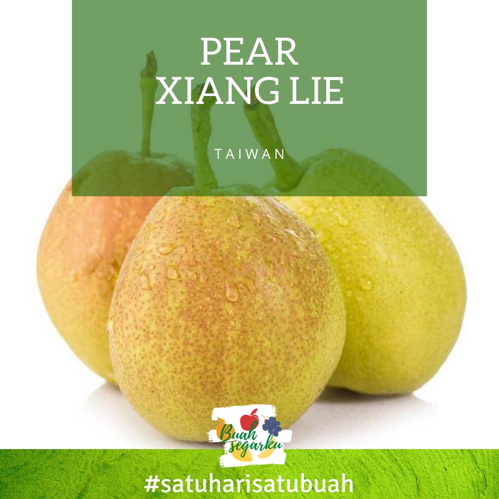 

Pear Xiang Lie