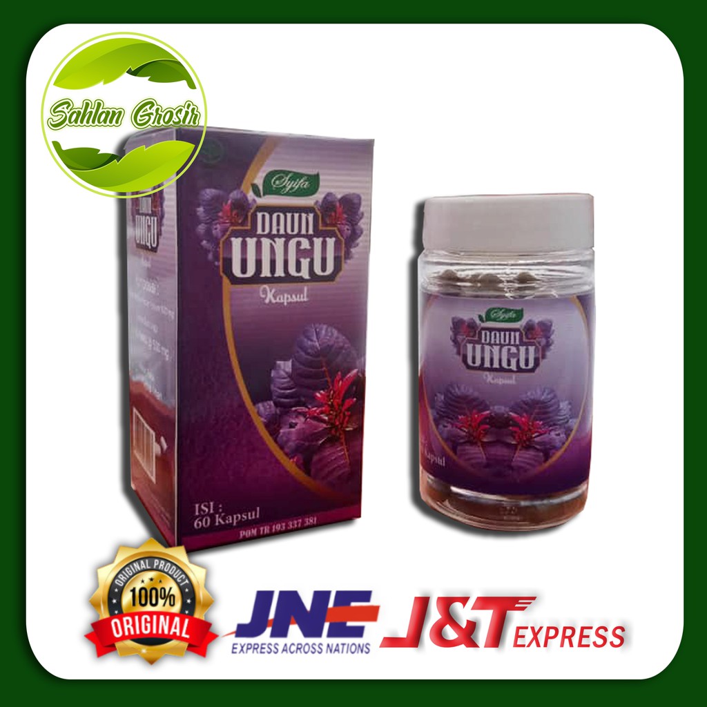 DAUN UNGU OBAT WASIR / DAUN UNGU OBAT HERBAL WASIR / KAPSUL DAUN UNGU OBAT AMBEIEN / DAUN UNGU SYIFA