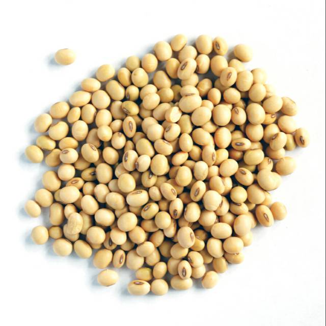 Kacang Kedelai 500gr - Super Quality